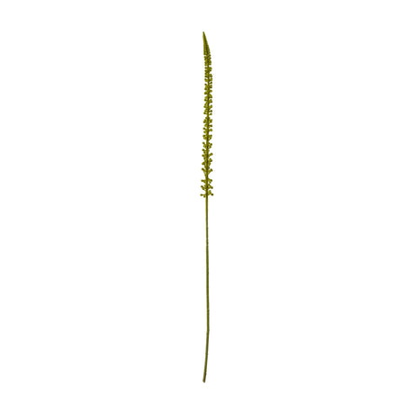 Hill Interiors Green Eremurus Stem, a tall 88cm faux foxtail lily with densely clustered green florets tapering to a slim point, shown on a white background.