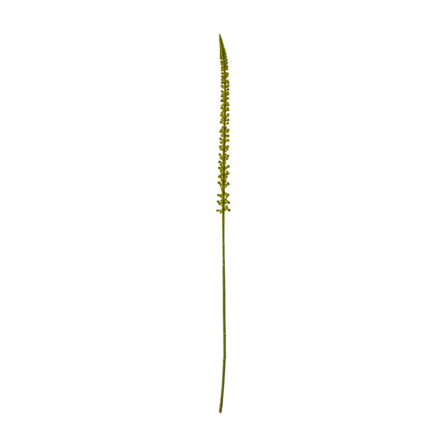 Hill Interiors Green Eremurus Stem, a tall 88cm faux foxtail lily with densely clustered green florets tapering to a slim point, shown on a white background.