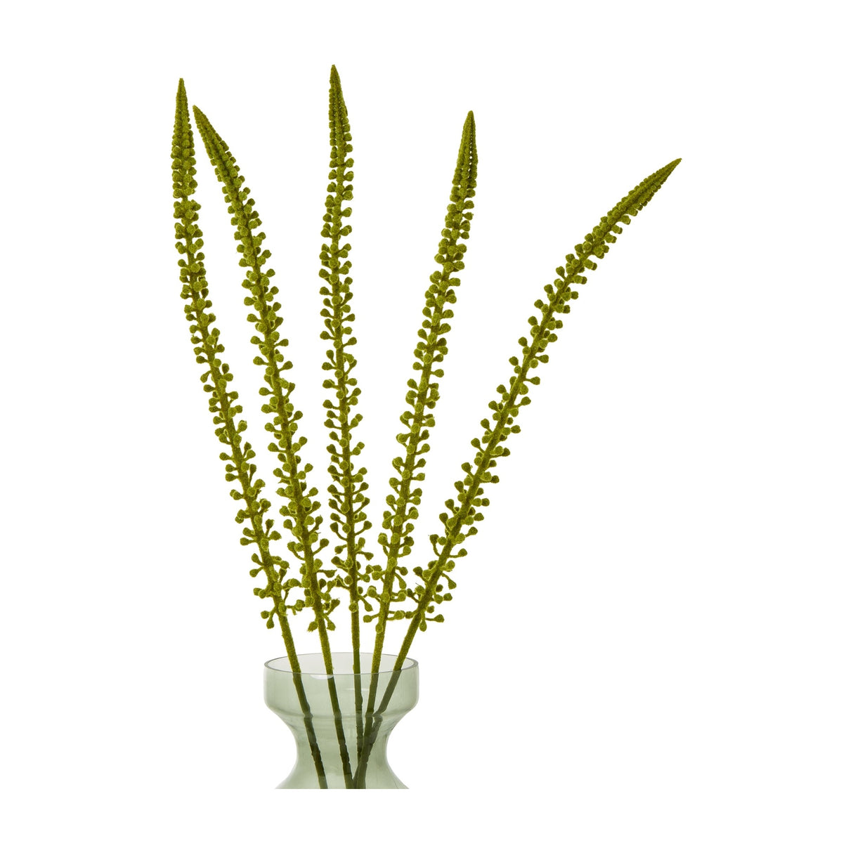 Hill Interiors Green Eremurus Stem faux flower arrangement with five tall tapering plumes of small green florets in a glass vase on a white background.