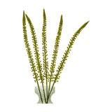 Hill Interiors Green Eremurus Stem faux flower arrangement with five tall tapering plumes of small green florets in a glass vase on a white background.