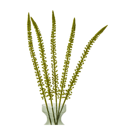 Hill Interiors Green Eremurus Stem faux flower arrangement with five tall tapering plumes of small green florets in a glass vase on a white background.
