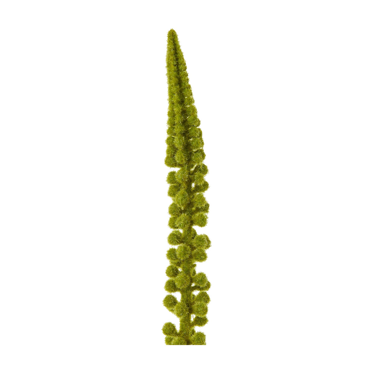 Hill Interiors Green Eremurus Stem, an 88cm faux foxtail lily spire with densely clustered green florets tapering to a soft point, shown on a white background.