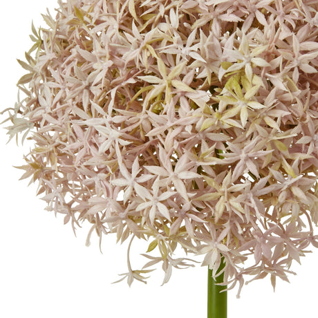 Close-up of Hill Interiors Lilac Giant Allium Stem showing the rounded head of tiny pale pink and green star-shaped florets on a green stem.