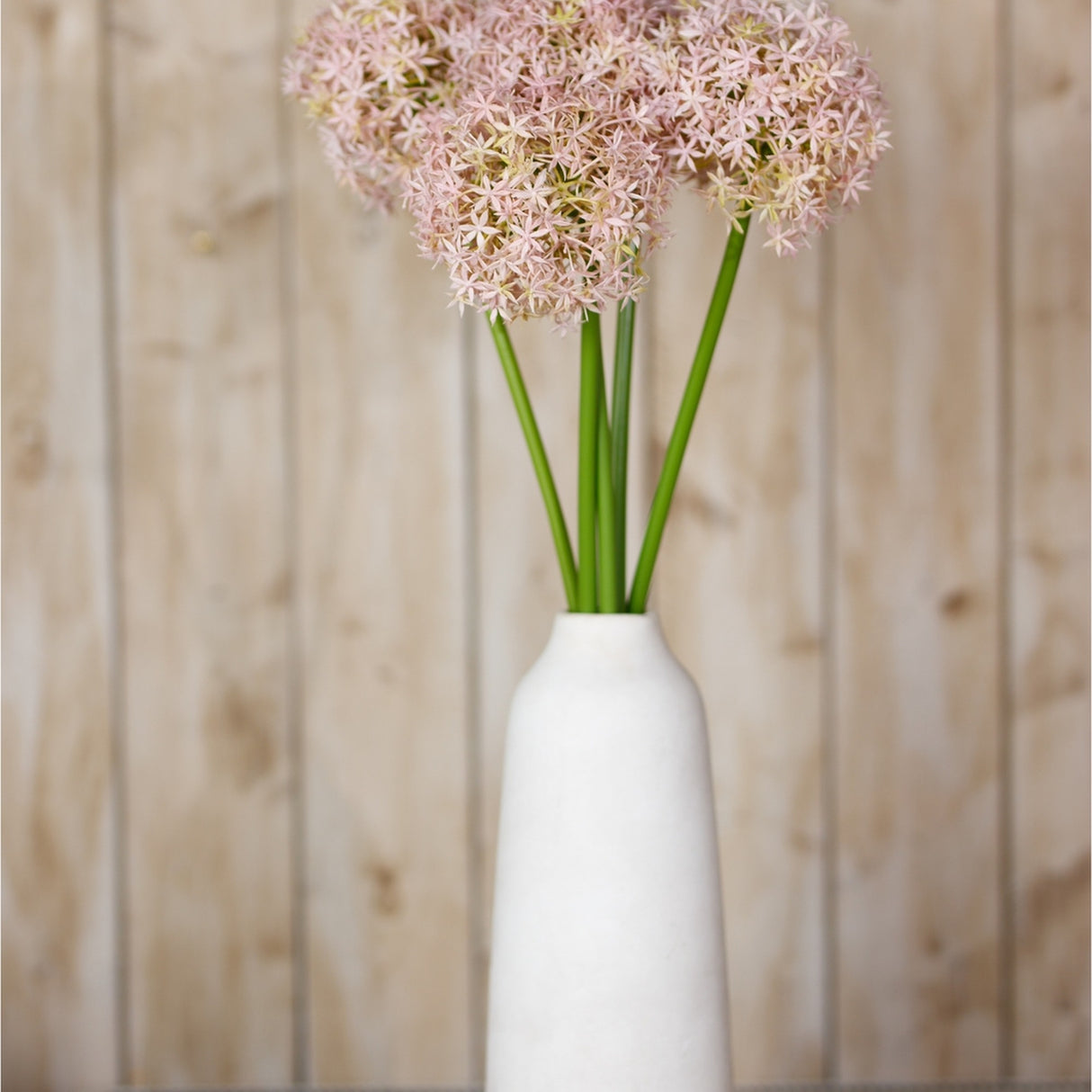 Hill Interiors Lilac Giant Allium Stems arranged in a tall white ceramic vase against a light wood panel background.