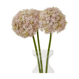 Hill Interiors Lilac Giant Allium Stems arranged in a clear glass vase, showing rounded pale pink floret heads on tall green stems against a white background.