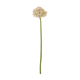 Hill Interiors Pink Giant Allium Stem, a tall faux flower with a rounded cluster of pale pink star-shaped florets on a green plastic stem, on white.