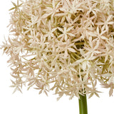 Close-up of Hill Interiors Pink Giant Allium Stem showing the spherical head of pale pink star-shaped florets on a green plastic stalk against white.