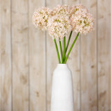 Hill Interiors Pink Giant Allium Stems with soft pink spherical florets on tall green stems, arranged in a white ceramic vase against a wooden plank background.