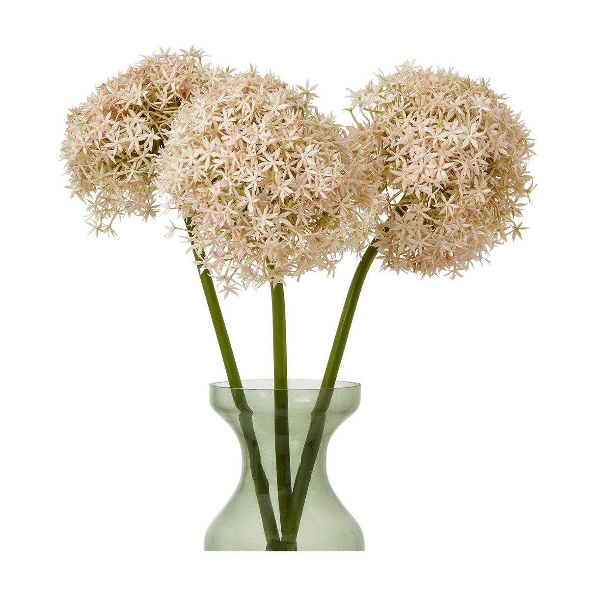 Three Hill Interiors Pink Giant Allium Stems with spherical pale pink floret heads on tall green stalks in a green glass vase on white.