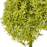 Close-up of the Hill Interiors Green Giant Allium Stem showing the spherical head packed with tiny green star-shaped florets on a plain white background.