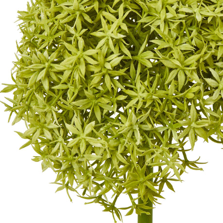 Close-up of the Hill Interiors Green Giant Allium Stem showing the spherical head packed with tiny green star-shaped florets on a plain white background.