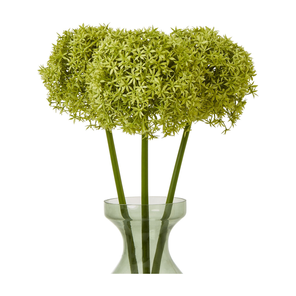 Three Hill Interiors Green Giant Allium Stems with spherical florets in soft green tones, displayed in a tall green glass vase against a white background.