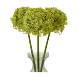 Three Hill Interiors Green Giant Allium Stems with spherical florets in soft green tones, displayed in a tall green glass vase against a white background.