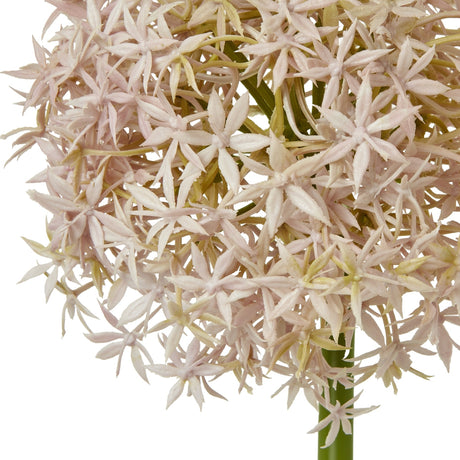 Close-up of the Hill Interiors Lilac Medium Allium Stem showing the globe-shaped head of soft pink-purple star-shaped florets on a green stem.