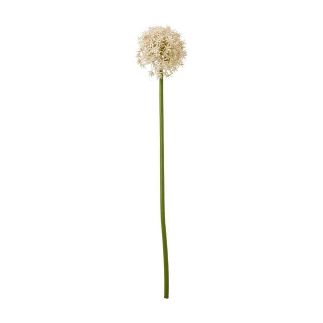 Hill Interiors Pink Medium Allium Stem, an 80cm faux flower with a globe-shaped cream floret head on a slim green stem, on a white background.