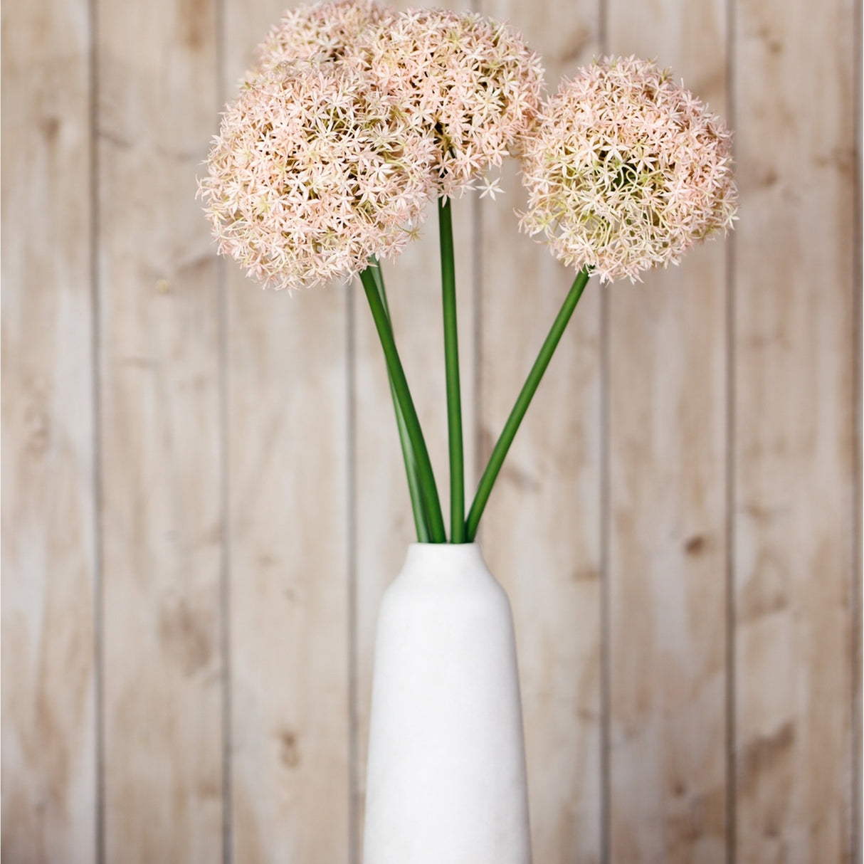 Hill Interiors Pink Medium Allium Stems arranged in a tall white ceramic vase against a light wooden plank background.