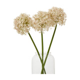 Three Hill Interiors Pink Medium Allium Stems with soft pink globe-shaped floret heads and green stems arranged in a clear glass vase on a white background.
