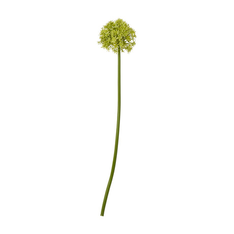 Hill Interiors Green Medium Allium Stem, a faux flower with a globe-shaped cluster of pale green star florets on a tall curved stem, on white.