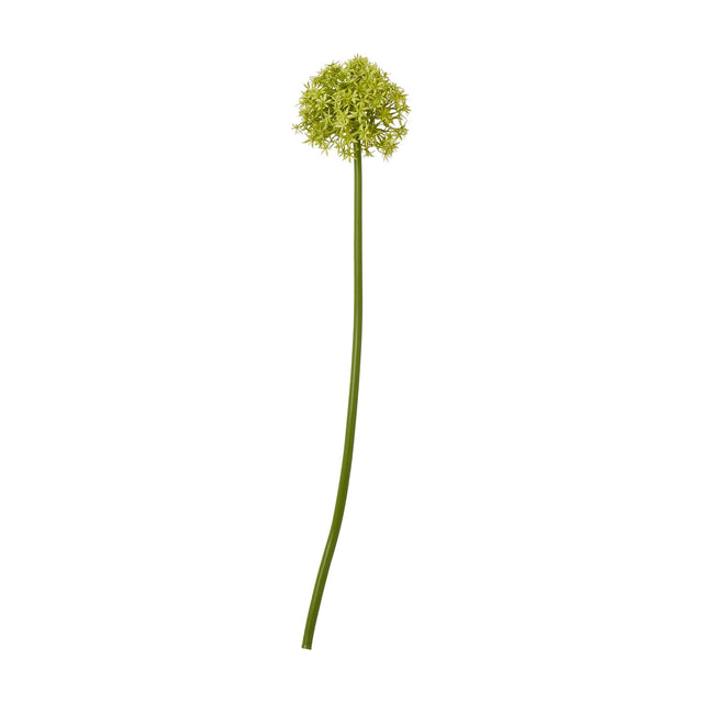 Hill Interiors Green Medium Allium Stem, a faux flower with a globe-shaped cluster of pale green star florets on a tall curved stem, on white.