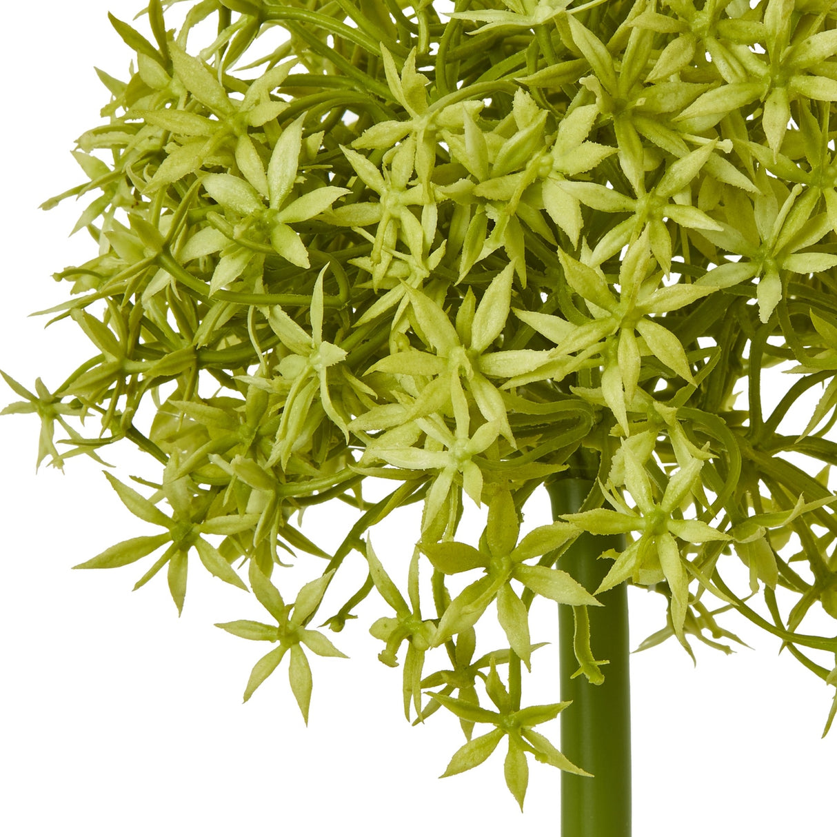 Close-up of Hill Interiors Green Medium Allium Stem showing the globe-shaped bloom of tiny green star-shaped florets on a green plastic stem.