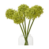 Hill Interiors Green Medium Allium Stems arranged in a clear glass vase, showing rounded pale green floret heads on tall green stems against a white background.