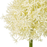 Close-up of the Hill Interiors Cream Medium Allium Stem showing the globe-shaped bloom of tiny cream star-shaped florets on a green stem against white.
