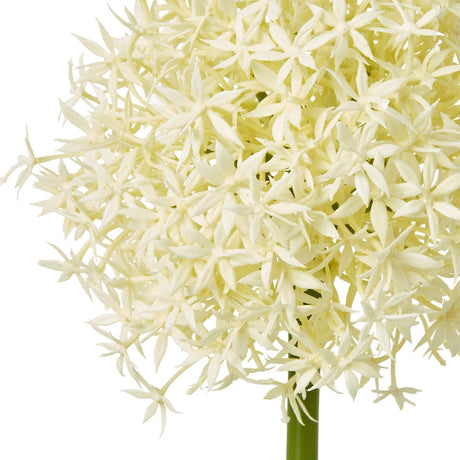 Close-up of the Hill Interiors Cream Medium Allium Stem showing the globe-shaped bloom of tiny cream star-shaped florets on a green stem against white.