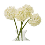 Hill Interiors Cream Medium Allium Stems with globe-shaped florets and green bendable stems, arranged in a clear glass vase on a plain white background.