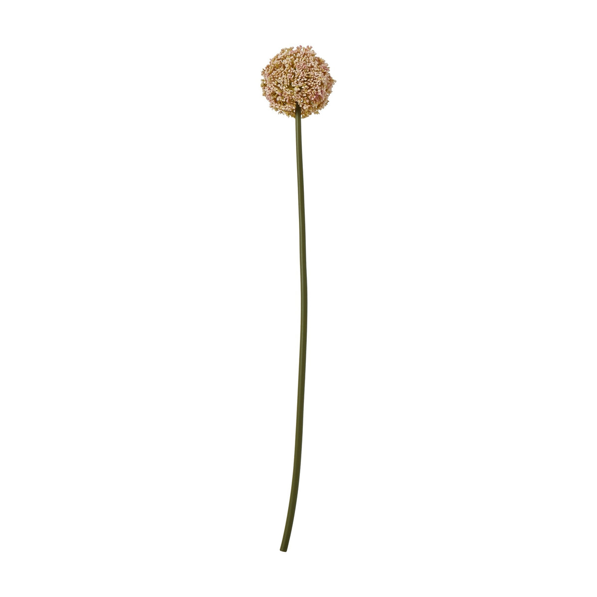 Hill Interiors Pink Allium Stem, a faux flower with a pom-pom globe head in soft pink tones on a long curved green stem, shown on a white background.