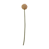 Hill Interiors Pink Allium Stem, a faux flower with a pom-pom globe head in soft pink tones on a long curved green stem, shown on a white background.