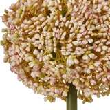 Close-up of Hill Interiors Pink Allium Stem showing the globe-shaped bloom of tiny pink and green florets on a slender stem against a white background.