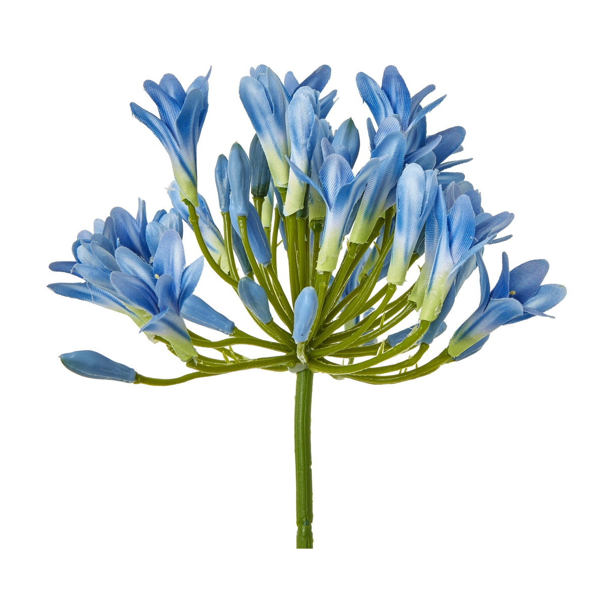 Hill Interiors Blue Agapanthus Stem with a rounded cluster of small trumpet-shaped blue blooms and buds on slim green stalks, on a white background.