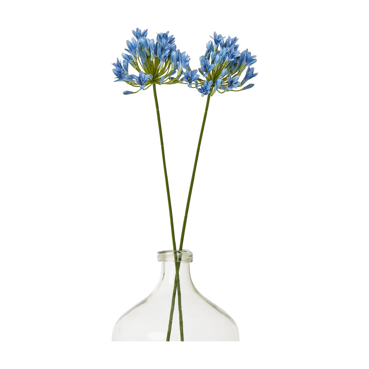 Hill Interiors Blue Agapanthus Stems with rounded clusters of blue trumpet blooms on slim green stalks, arranged in a clear glass bottle vase.
