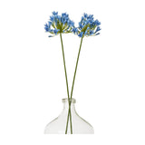 Hill Interiors Blue Agapanthus Stems with rounded clusters of blue trumpet blooms on slim green stalks, arranged in a clear glass bottle vase.