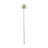 Hill Interiors Cream Agapanthus Spray, a tall faux flower stem with a rounded cluster of cream trumpet blooms and buds on a slim green stem.