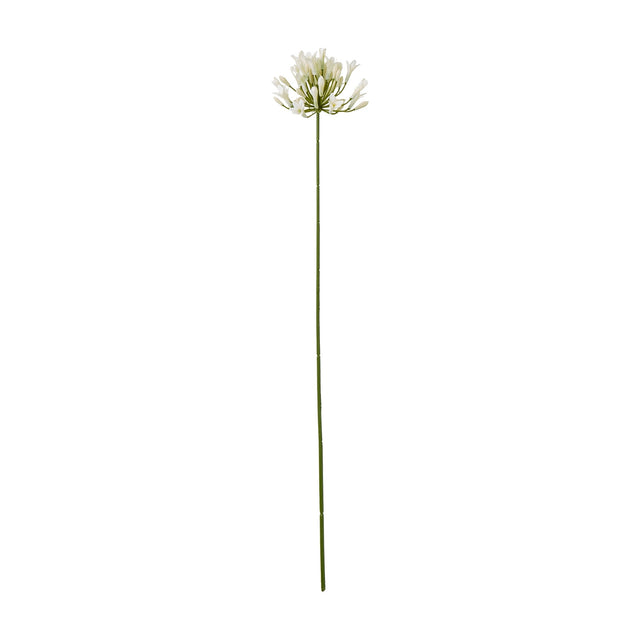 Hill Interiors Cream Agapanthus Spray, a tall faux flower stem with a rounded cluster of cream trumpet blooms and buds on a slim green stem.