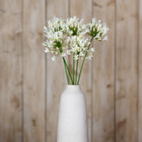 Hill Interiors Cream Agapanthus Spray with clustered trumpet blooms on slim green stems arranged in a white ceramic vase against wooden panelling.