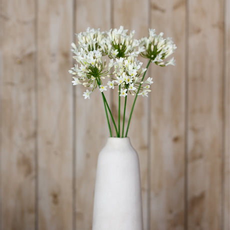 Hill Interiors Cream Agapanthus Spray with clustered trumpet blooms on slim green stems arranged in a white ceramic vase against wooden panelling.
