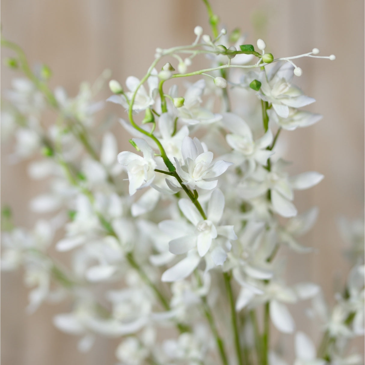 Close-up of Hill Interiors White Cymbidium Spray faux flower stem with layered white orchid blooms and buds along slender green stalks.