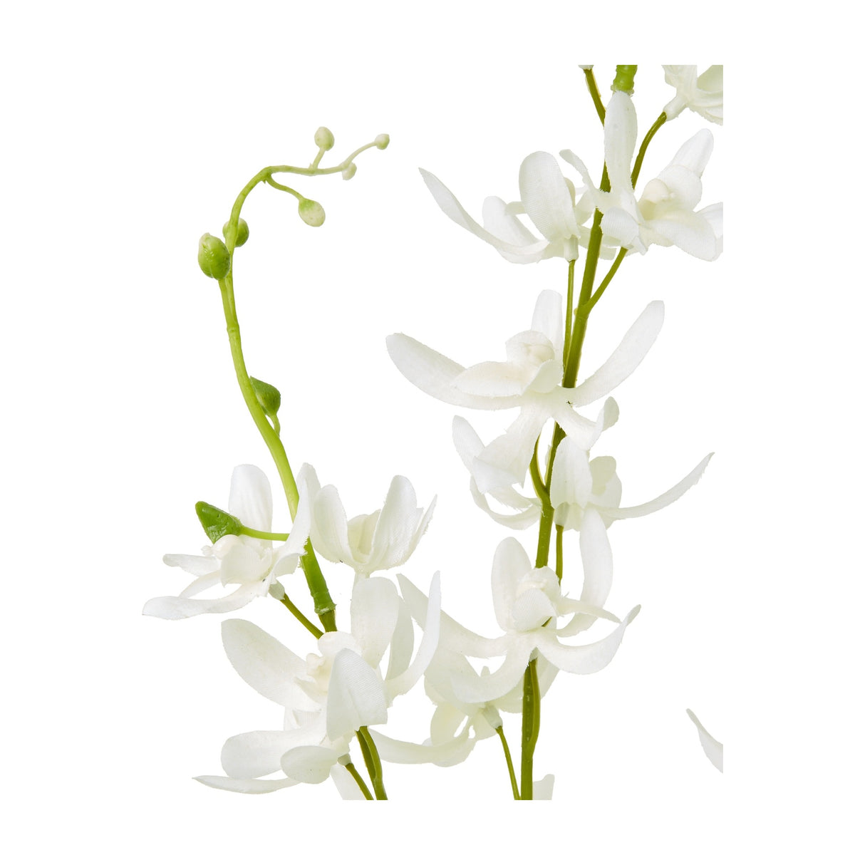 Hill Interiors White Cymbidium Spray close-up showing white orchid blooms and buds along a slender green stem on a plain white background.
