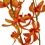 Hill Interiors Orange Cymbidium Spray close-up showing layered orchid blooms with ruffled lips, red-flecked throats and striped petals on green stems.