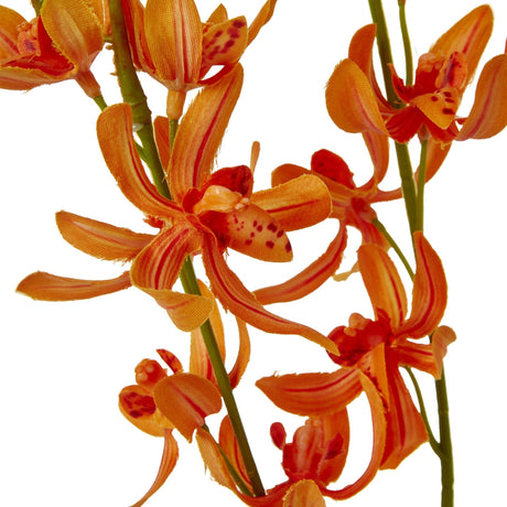 Hill Interiors Orange Cymbidium Spray close-up showing layered orchid blooms with ruffled lips, red-flecked throats and striped petals on green stems.