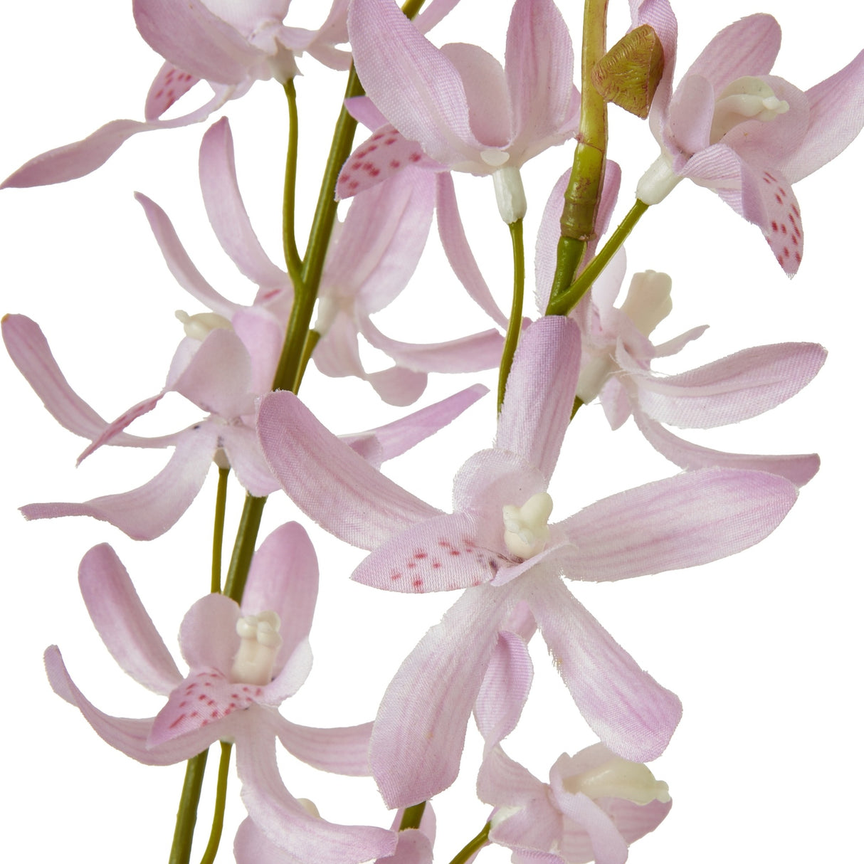 Close-up of Hill Interiors Lilac Cymbidium Spray showing soft purple orchid blooms with speckled throats along a green stem on a white background.