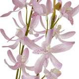 Close-up of Hill Interiors Lilac Cymbidium Spray showing soft purple orchid blooms with speckled throats along a green stem on a white background.