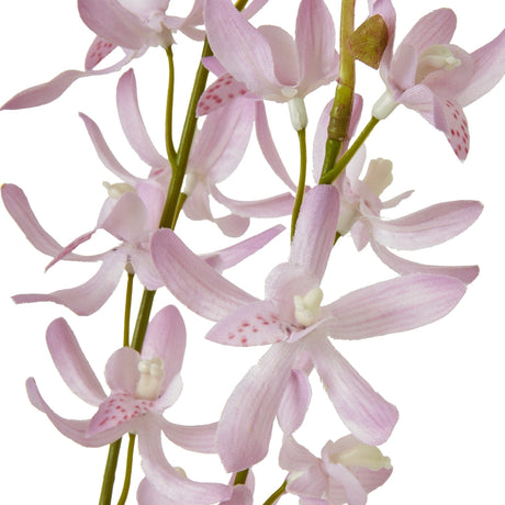 Close-up of Hill Interiors Lilac Cymbidium Spray showing soft purple orchid blooms with speckled throats along a green stem on a white background.