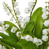 Close-up of Hill Interiors Lily Of The Valley Bunch showing tiny white bell-shaped flowers on slim stems with arching green leaves.