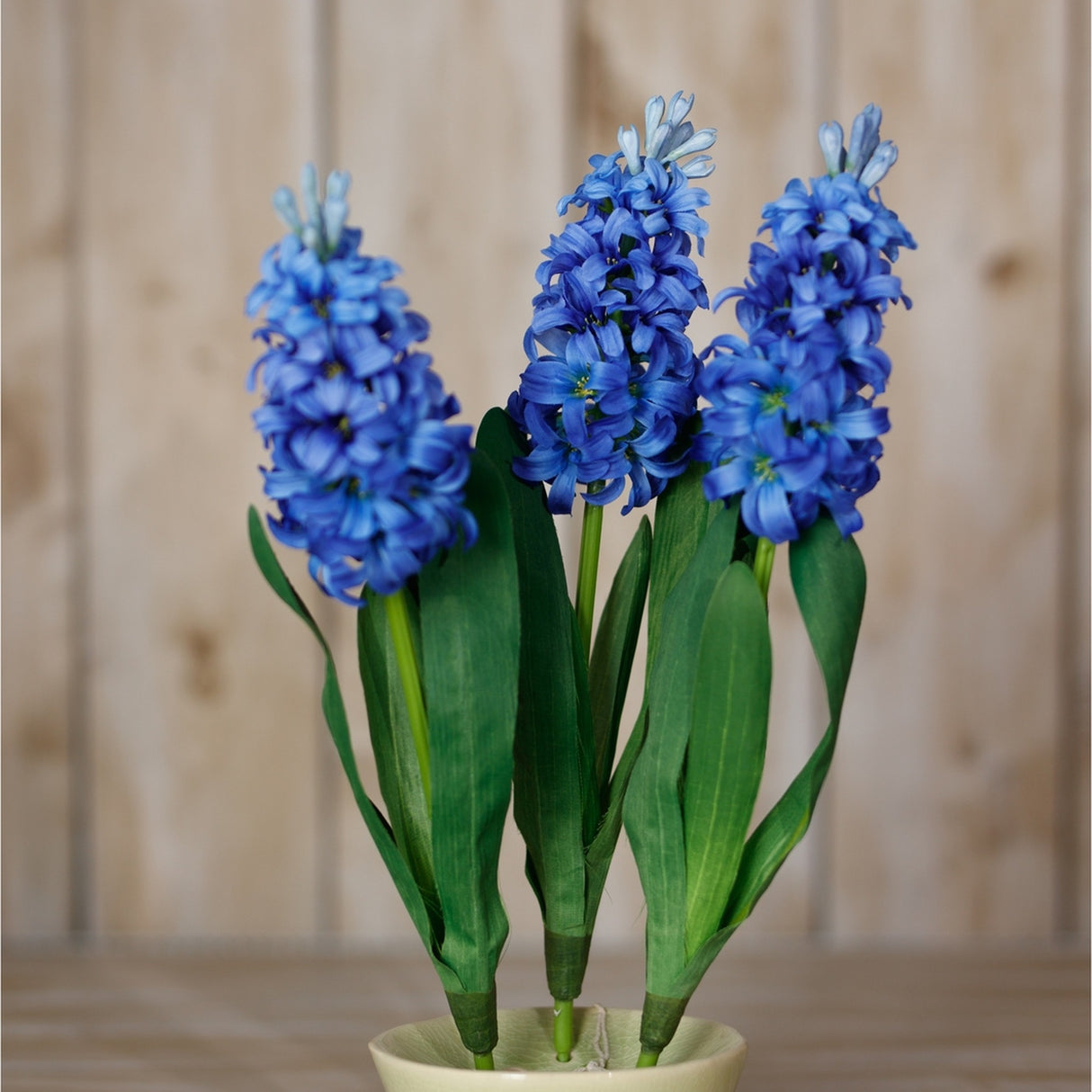 Hill Interiors Blue Hyacinth Stems arranged in a cream ceramic pot, showing three clustered blue floret spikes with slim green leaves against pale wood.