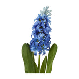 Hill Interiors Blue Hyacinth Stem with densely clustered star-shaped blue florets along an upright spike and slim green leaves, shown on a white background.