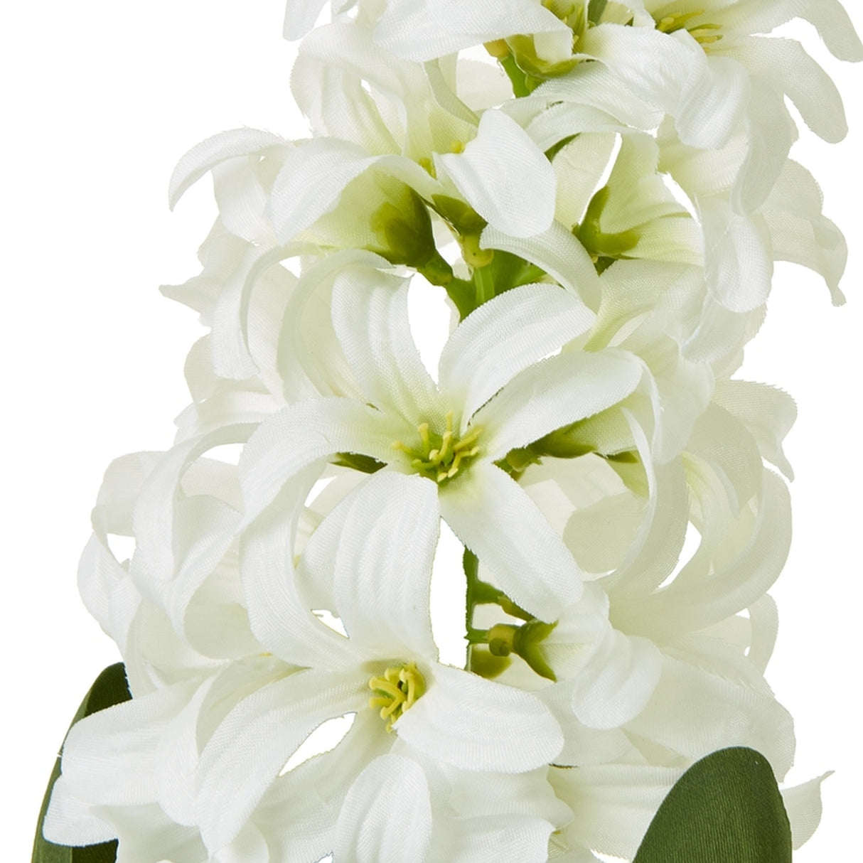 Close-up of the Hill Interiors White Hyacinth Stem showing densely clustered star-shaped white florets with curled petal tips on a plain white background.