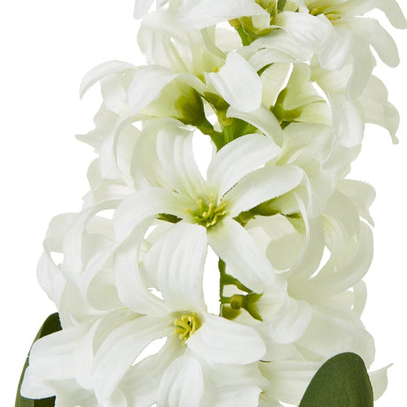 Close-up of the Hill Interiors White Hyacinth Stem showing densely clustered star-shaped white florets with curled petal tips on a plain white background.